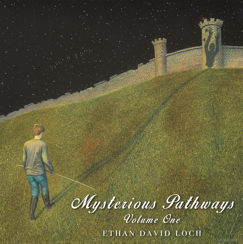 Front cover picture. Ethan with cane in hand walks up a grassy hill to a tower. Walls stetch either side of the tower into the distance. Inside the tower you can just see some giant ants poking their heads out of the cracks.  In the dark sky the stars are visible and the name ethan loch is formed in Braille. 